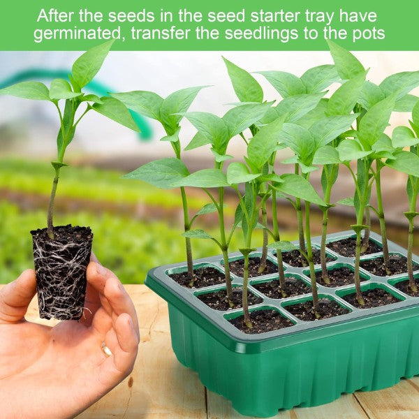 MINI KUĆNI PLASTENIK ZA RASAD 1+1